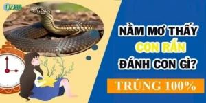 Lưu Ý Khi Giải Mã Giấc Mơ Rắn Để Chọn Số May Mắn