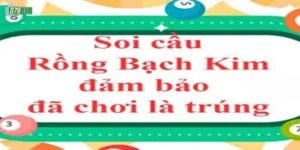 Kinh Nghiệm Chơi Số Hiệu Quả Cùng Rồng Bạch Kim